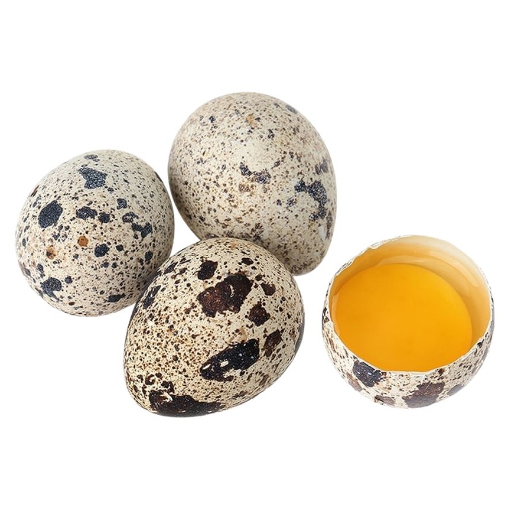 HUEVOS FRESCOS DE CORDORNIZ 新鲜鹌鹑蛋 12u/24