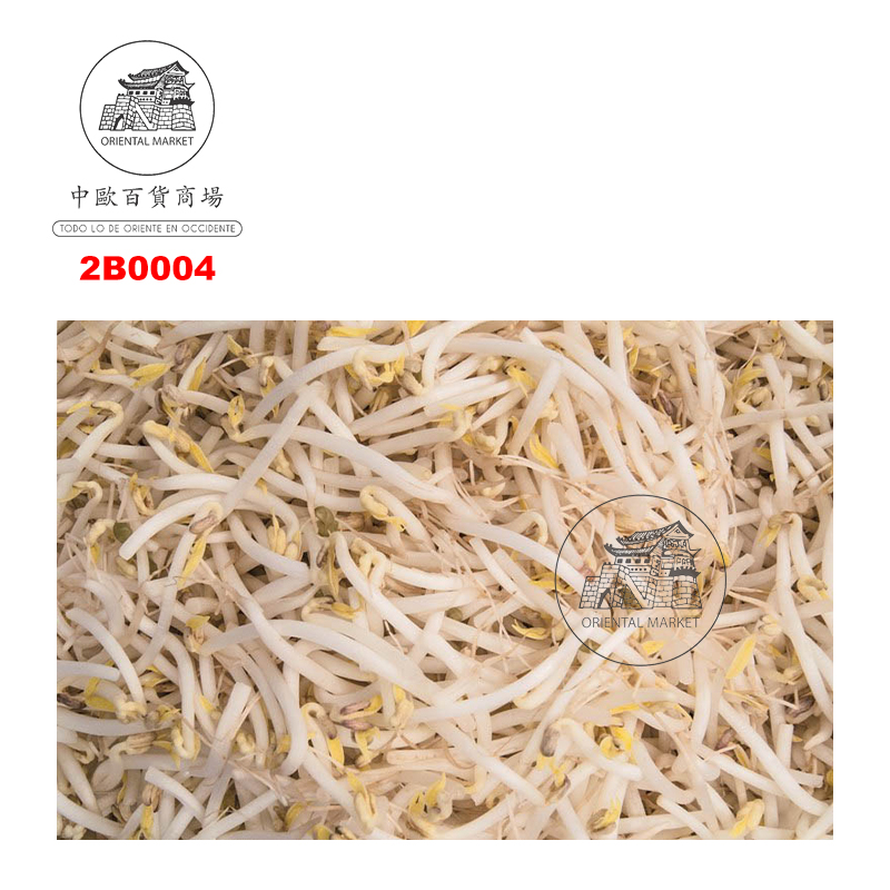 BROTES DE SOJA VERDE  新鲜绿豆芽 4kg