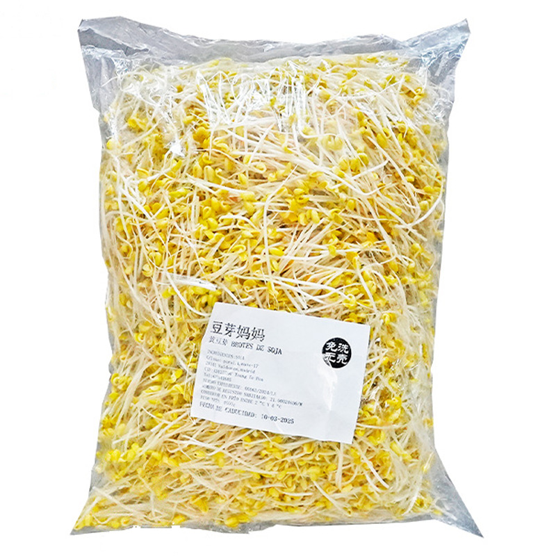 BROTE DE SOJA AMARILLA 5KG 大包黄豆芽