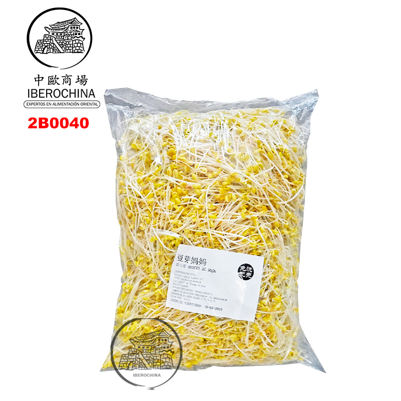 BROTE DE SOJA AMARILLA 4KG 大包黄豆芽