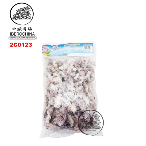 [200493/2C0123] TENTACULO CONGELADO 冻幼鱿鱼须 800g/10