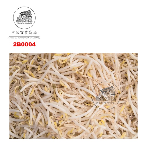 [2B0004] BROTES DE SOJA VERDE  新鲜绿豆芽 4kg