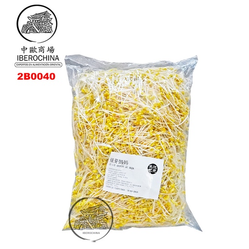 [2B0040] BROTE DE SOJA AMARILLA 5KG 大包黄豆芽